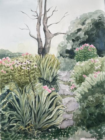 Watercolor by Scarlett Kopala