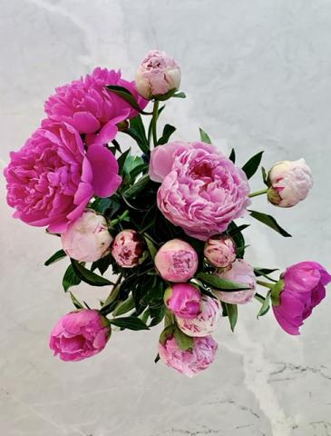 Photograph by Jennifer Morton