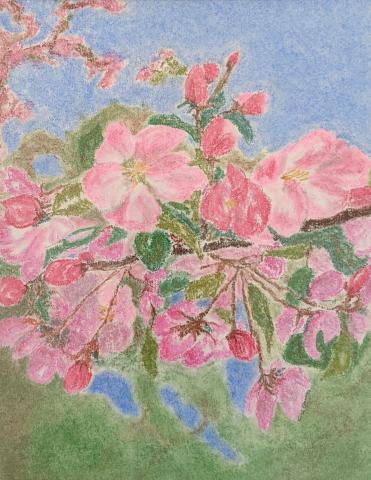 Trish Gannon painting of pink flowers