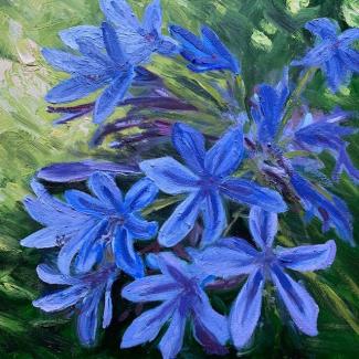 Oil painting by Rose Walsh-Cooke