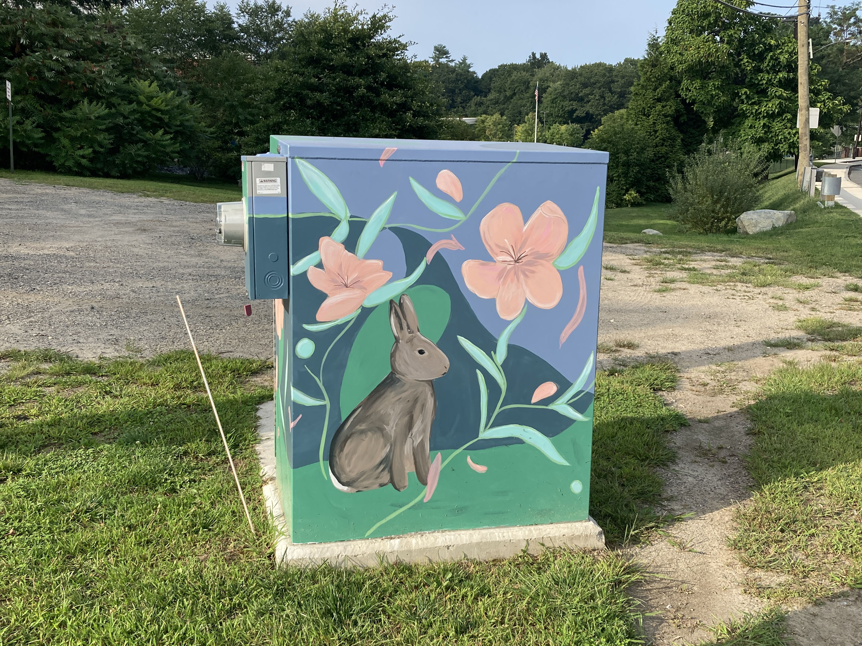 Rabbit on utility box