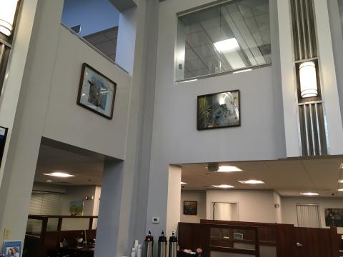 Art in August display