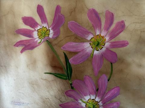 Plymouth Gentian on vellum