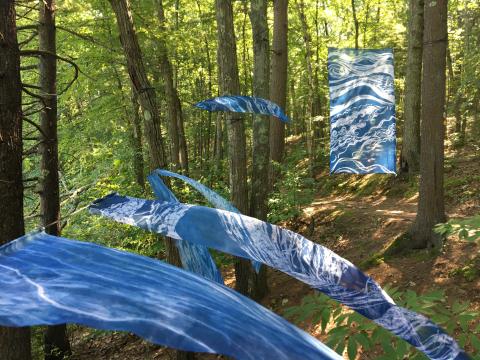 Windblown Art Ramble