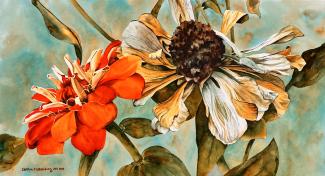 Coming of Age (floral)