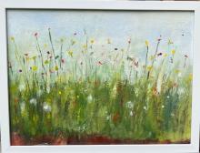 Wildflowers