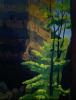 Painting of wooded cliff
