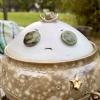 Pot