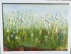 Wildflowers